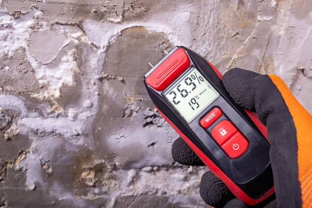 Best Crawl Space Mold Removal  in Philomath, OR
