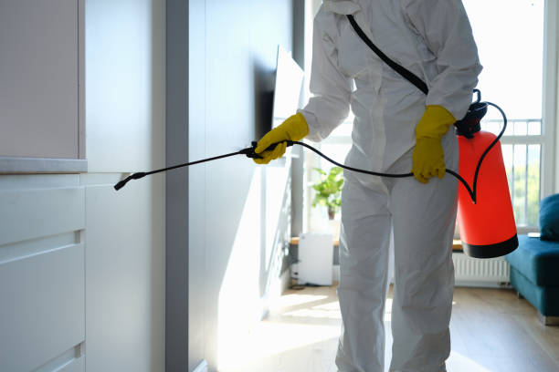 Best Professional Mold Removal  in Philomath, OR